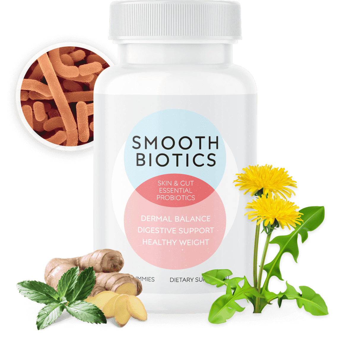 SmoothBiotics skin cell turnover